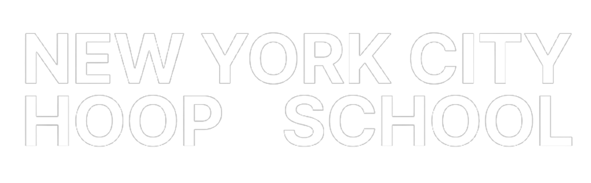 NYC Hoop School | Academy Logo