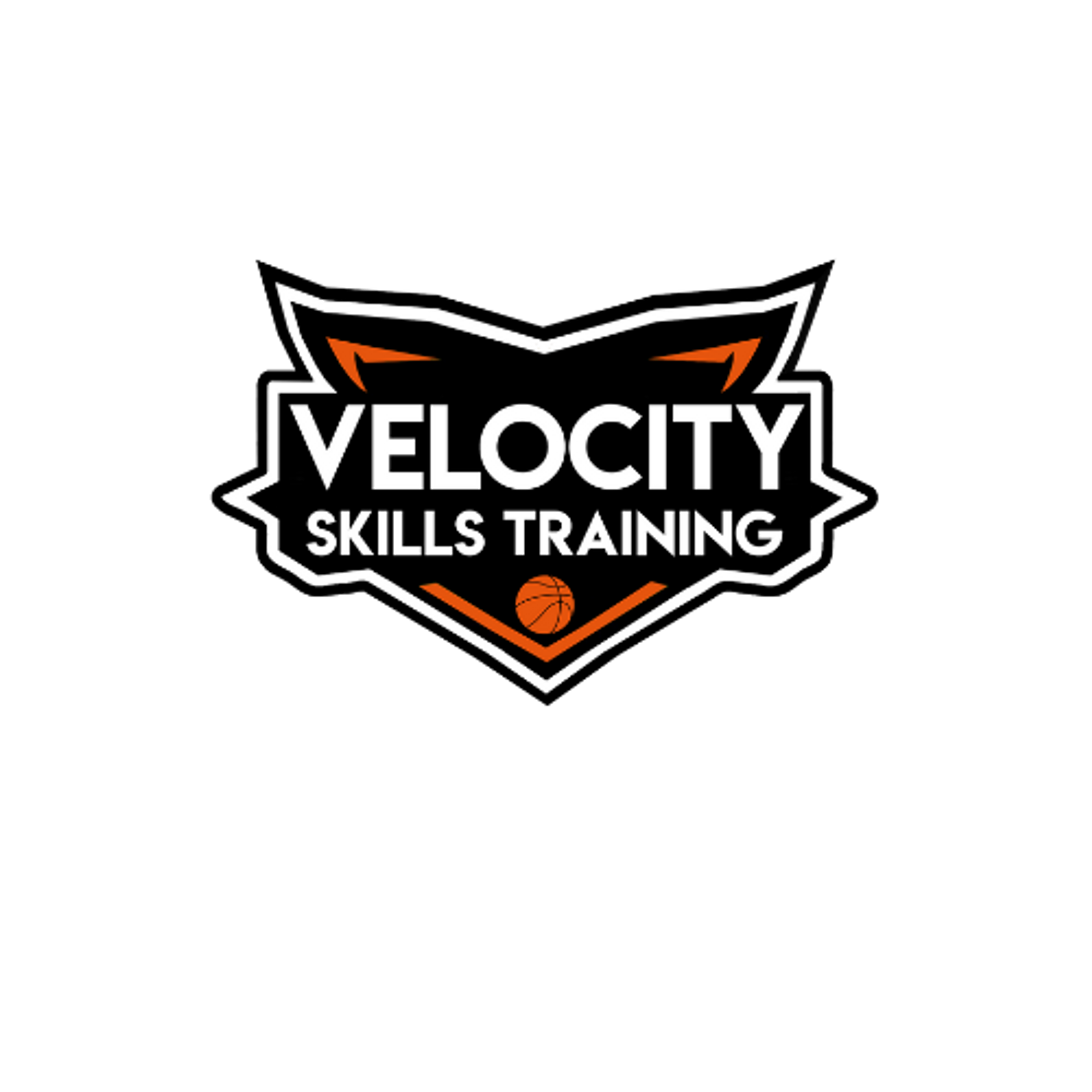 Velocity Skills Training | Training Logo
